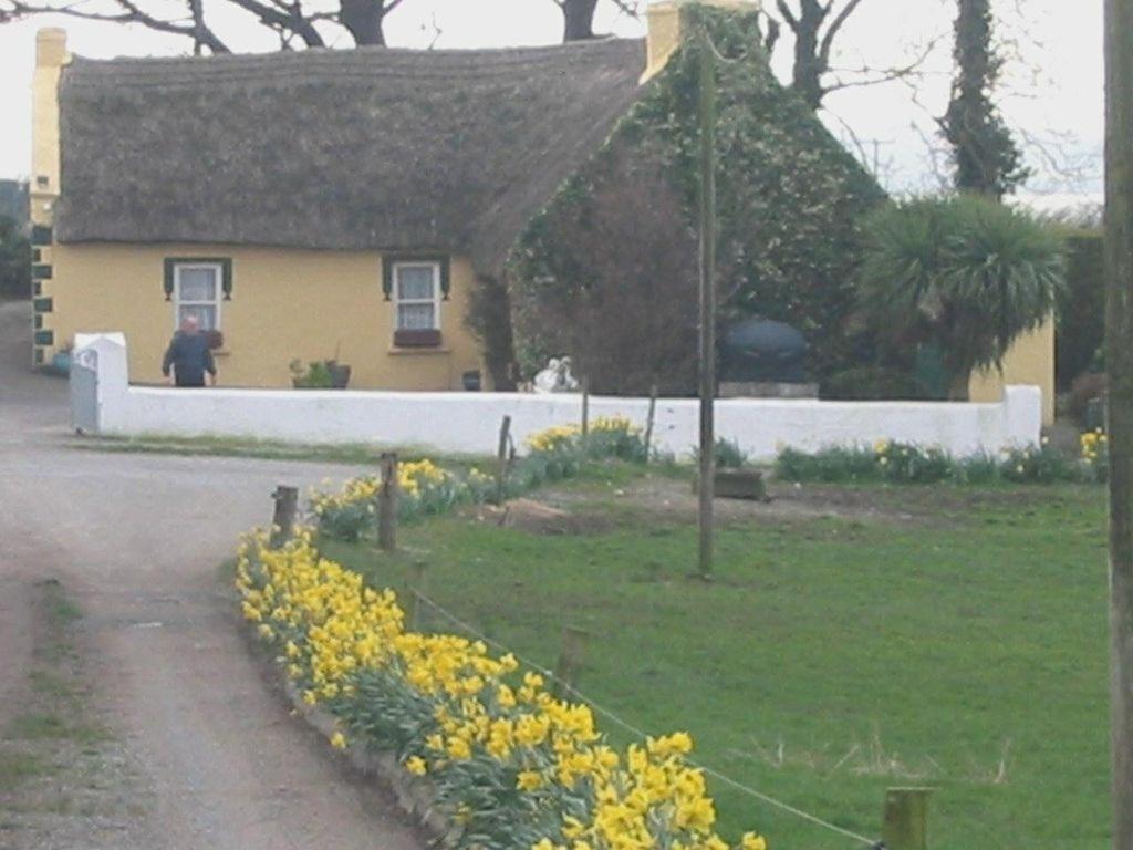 Bed and Breakfast Knights Haven Glin Zewnętrze zdjęcie